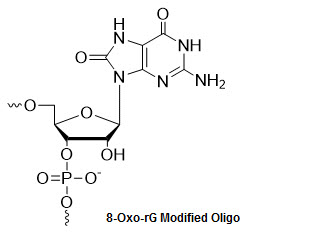 Bio-Synthesis Inc. Oligo Structure